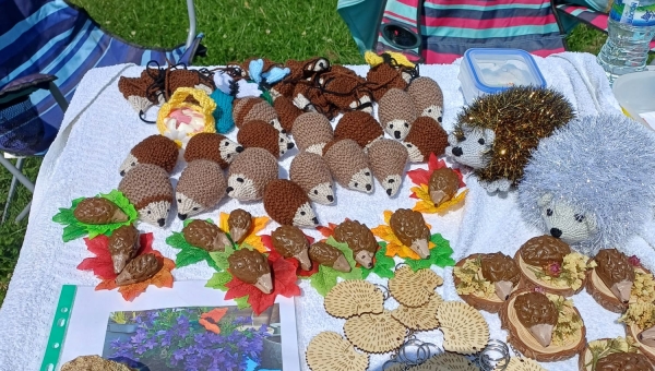 Decorate-A-Plate with Hedgehogs